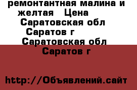 ремонтантная малина и желтая › Цена ­ 90 - Саратовская обл., Саратов г.  »    . Саратовская обл.,Саратов г.